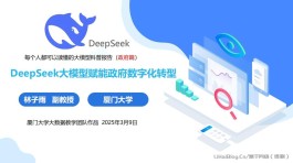 厦门大学122页，DeepSeek大模型赋能政府数字化转型PDF（免费下载）