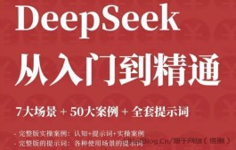 DeepSeek从入门到精通：7大场景+50大案例+全套提示词