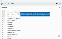 WPD软件：Windows系统隐私优化的得力工具